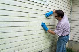 Best Insulated Siding Installation  in South Shore, KY